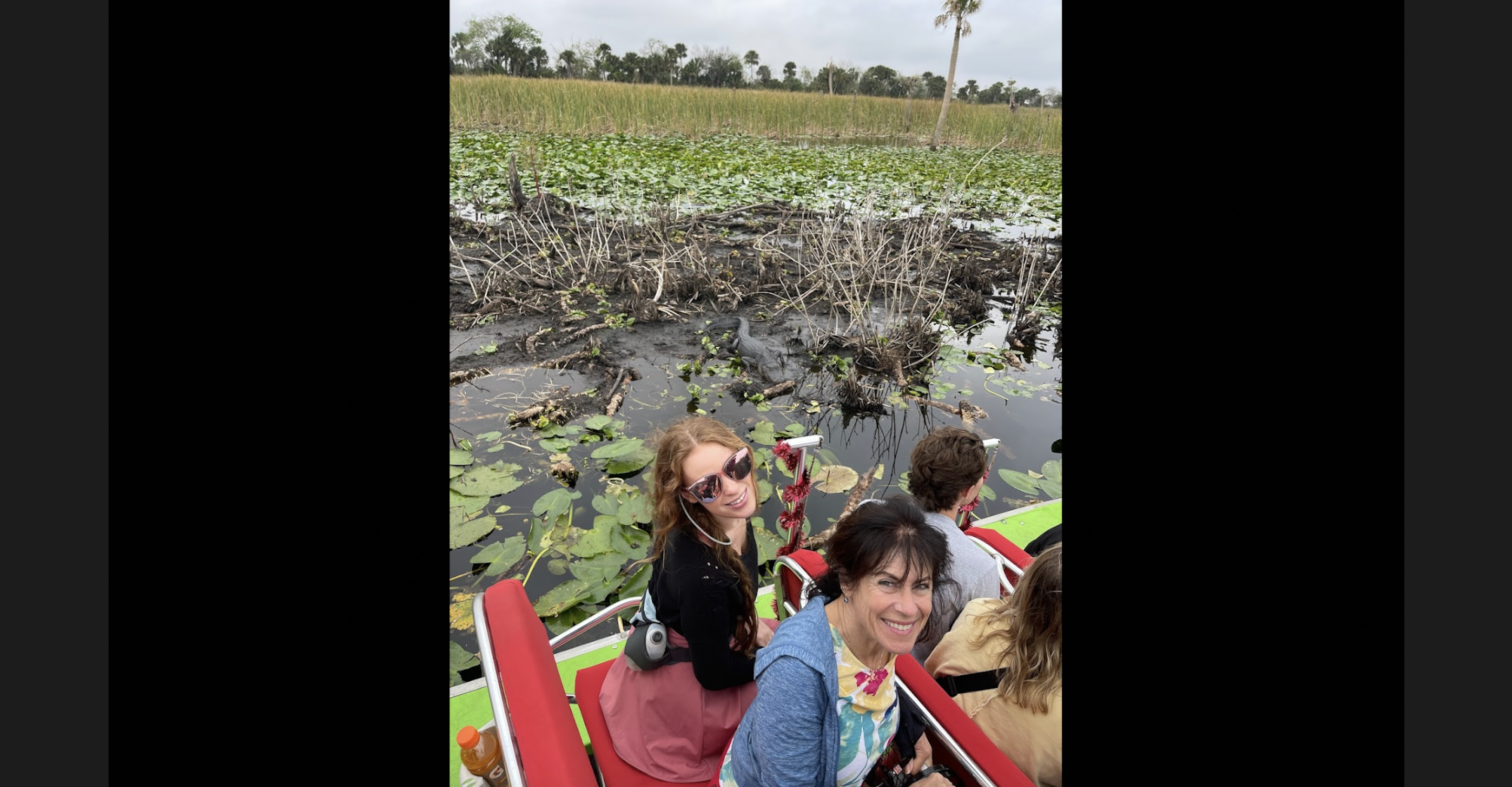 Spotted a gator aboard an airboat
